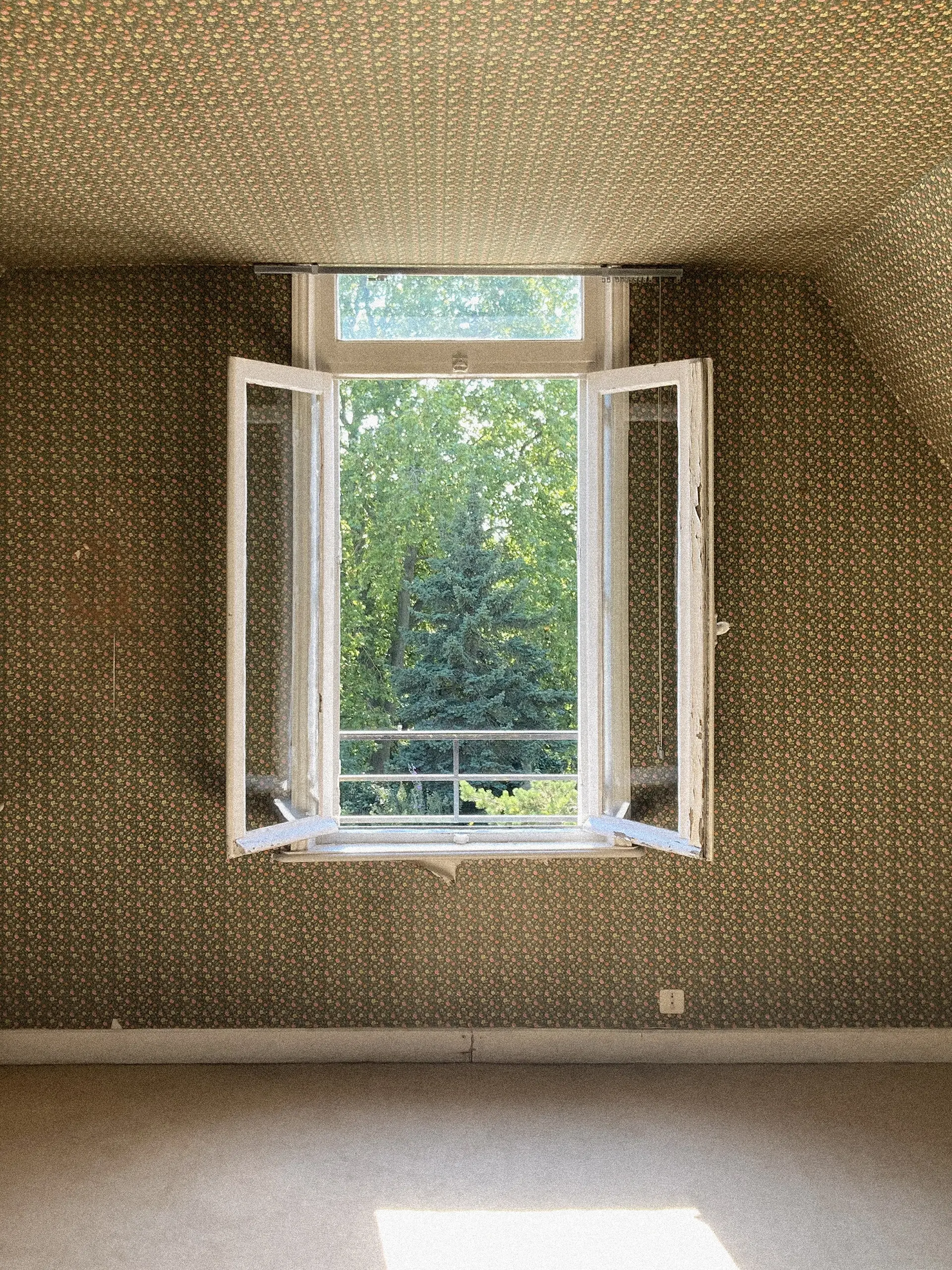 chambre projet ALBERT