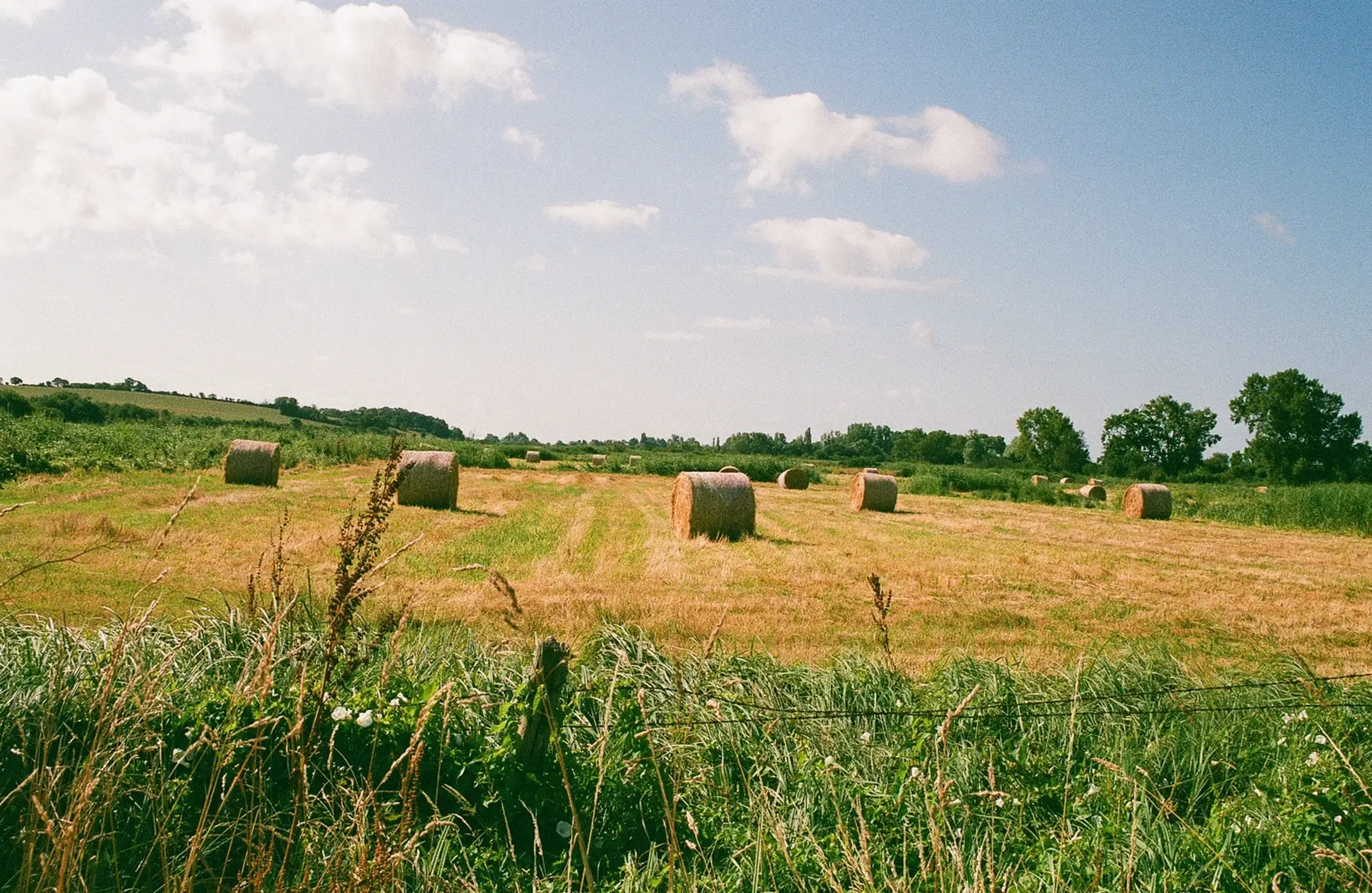 photo paysage GENETS