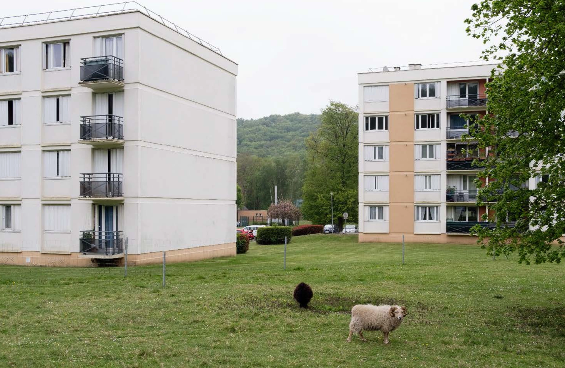photo projet LE HOULME